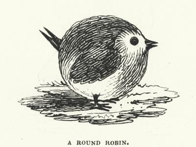 A round robin (engraving) Photographic Print - English School | Art.com