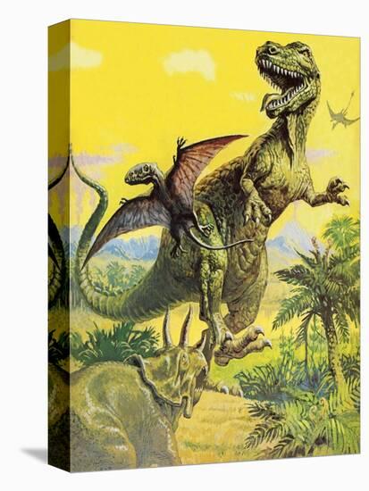 Stretched Canvas Print, , large