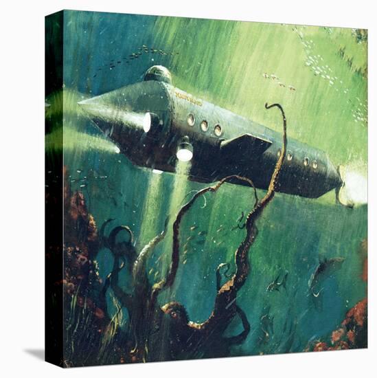 Stretched Canvas Print, , large