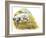 English Setter (Canis Lupus Familiaris) Pointing to Quail-null-Framed Giclee Print