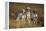 English Setter Dogs Three in Row-null-Framed Premier Image Canvas