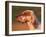 English Setter Profile-Adriano Bacchella-Framed Photographic Print