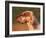 English Setter Profile-Adriano Bacchella-Framed Photographic Print