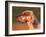 English Setter Profile-Adriano Bacchella-Framed Photographic Print