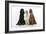 English Setter Sitting Between Gordon Setter-null-Framed Photographic Print