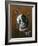 English Setter-Wilhelm Goebel-Framed Giclee Print