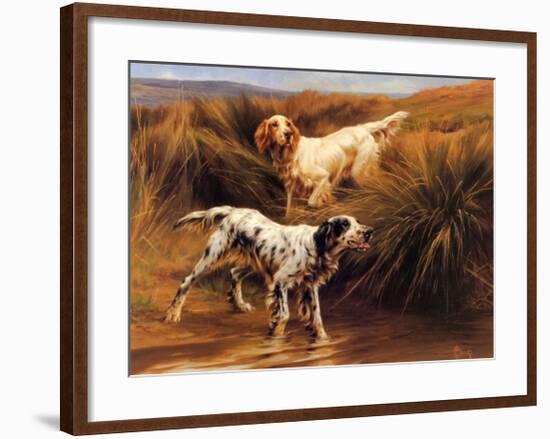 English Setters in a Marshland-Thomas Blinks-Framed Art Print