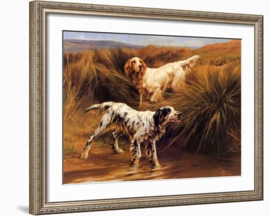 English Setters in a Marshland-Thomas Blinks-Framed Art Print