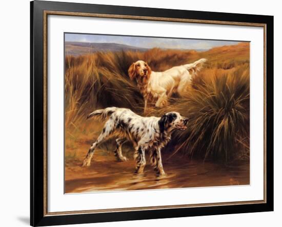 English Setters in a Marshland-Thomas Blinks-Framed Art Print