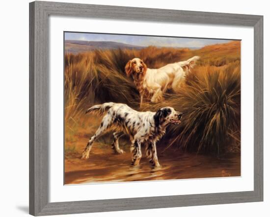 English Setters in a Marshland-Thomas Blinks-Framed Art Print