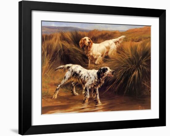 English Setters in a Marshland-Thomas Blinks-Framed Art Print