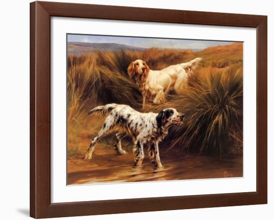 English Setters in a Marshland-Thomas Blinks-Framed Art Print