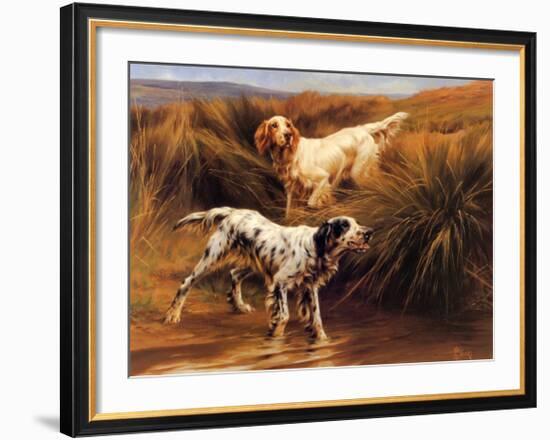 English Setters in a Marshland-Thomas Blinks-Framed Art Print