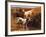 English Setters in a Marshland-Thomas Blinks-Framed Art Print