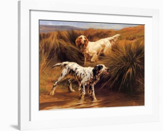 English Setters in a Marshland-Thomas Blinks-Framed Art Print