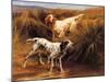 English Setters in a Marshland-Thomas Blinks-Mounted Art Print