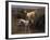 English Setters in a Marshland-Thomas Blinks-Framed Premium Giclee Print