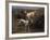 English Setters in a Marshland-Thomas Blinks-Framed Premium Giclee Print