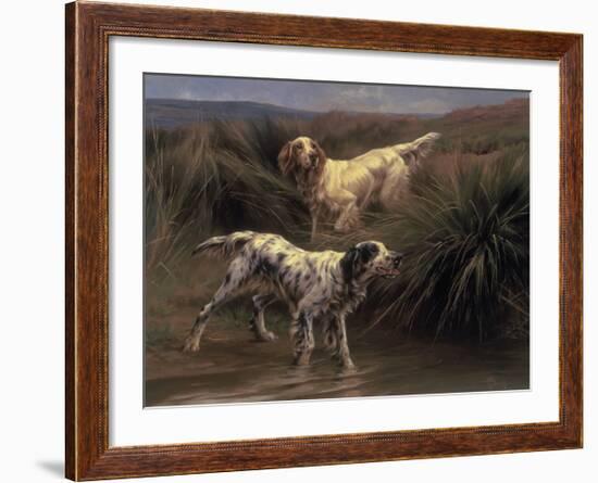 English Setters in a Marshland-Thomas Blinks-Framed Premium Giclee Print