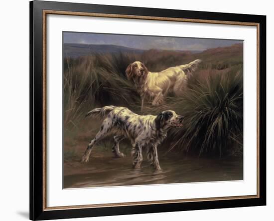 English Setters in a Marshland-Thomas Blinks-Framed Premium Giclee Print