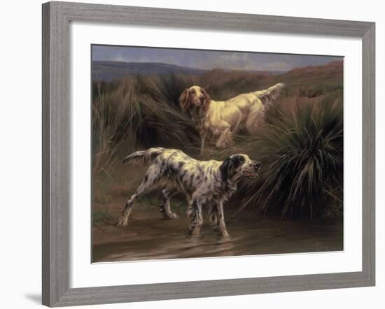 English Setters in a Marshland-Thomas Blinks-Framed Premium Giclee Print