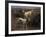 English Setters in a Marshland-Thomas Blinks-Framed Premium Giclee Print