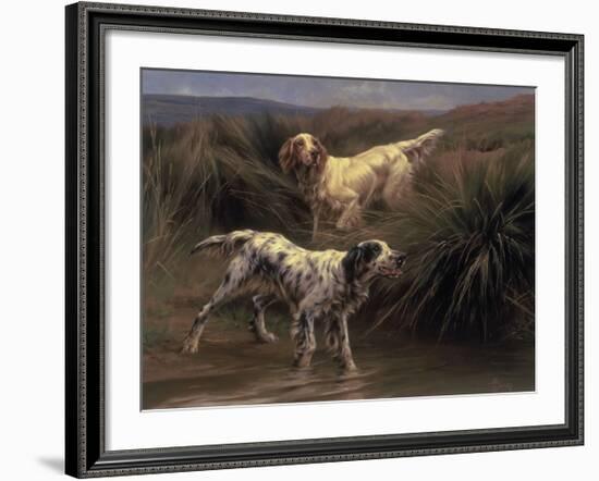 English Setters in a Marshland-Thomas Blinks-Framed Premium Giclee Print