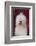 English Sheepdog Sitting on the Steps-DLILLC-Framed Photographic Print