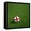 English Soccerball Lying on Grass-zentilia-Framed Stretched Canvas