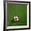 English Soccerball Lying on Grass-zentilia-Framed Art Print