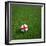 English Soccerball Lying on Grass-zentilia-Framed Art Print
