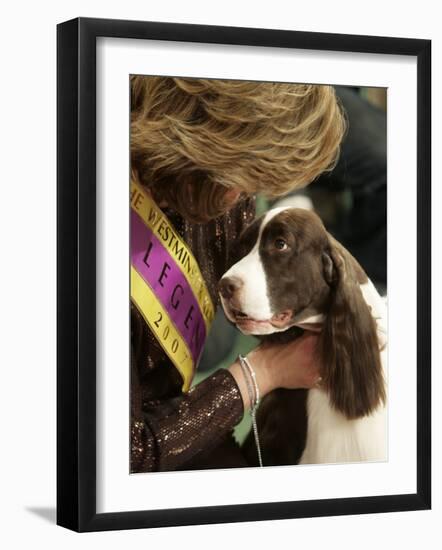 English Springer Spaniel after Winning Best in Show at the 131st Westminster Dog Show in New York-null-Framed Photographic Print