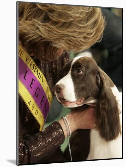 English Springer Spaniel after Winning Best in Show at the 131st Westminster Dog Show in New York-null-Mounted Photographic Print