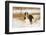 English springer spaniel, Connecticut, USA-Lynn M. Stone-Framed Photographic Print