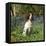 English Springer Spaniel Dog in Bluebells-null-Framed Premier Image Canvas