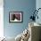 English Springer Spaniel Dog, USA-Lynn M^ Stone-Framed Photographic Print displayed on a wall