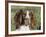 English Springer Spaniel Dog, USA-Lynn M. Stone-Framed Photographic Print