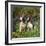 English Springer Spaniel Dogs in Bluebell Woodland-null-Framed Photographic Print