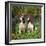 English Springer Spaniel Dogs in Bluebell Woodland-null-Framed Photographic Print