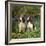 English Springer Spaniel Dogs in Bluebell Woodland-null-Framed Photographic Print