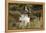 English Springer Spaniel Holding Grouse in Mouth-null-Framed Premier Image Canvas