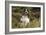 English Springer Spaniel Holding Grouse in Mouth-null-Framed Photographic Print