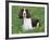 English Springer Spaniel, Illinois, USA-Lynn M. Stone-Framed Photographic Print