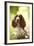 English Springer Spaniel in Woodland-null-Framed Photographic Print