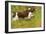 English Springer Spaniel Running-null-Framed Photographic Print