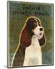 English Springer Spaniel (tri-color)-John W^ Golden-Mounted Art Print