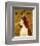 English Springer Spaniel-John Golden-Framed Art Print