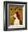 English Springer Spaniel-John Golden-Framed Art Print