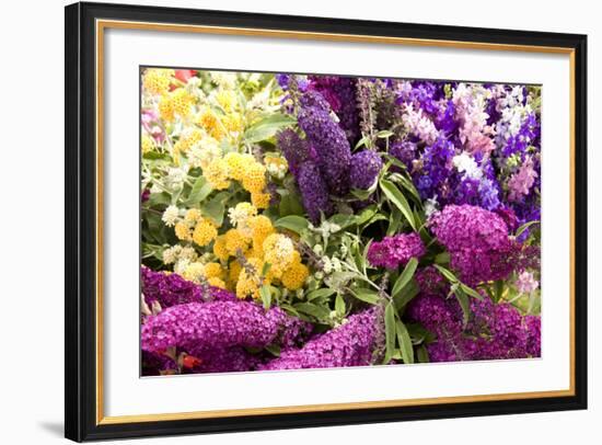 English Summer I-Maureen Love-Framed Photographic Print