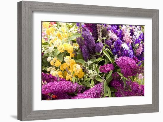 English Summer I-Maureen Love-Framed Photographic Print